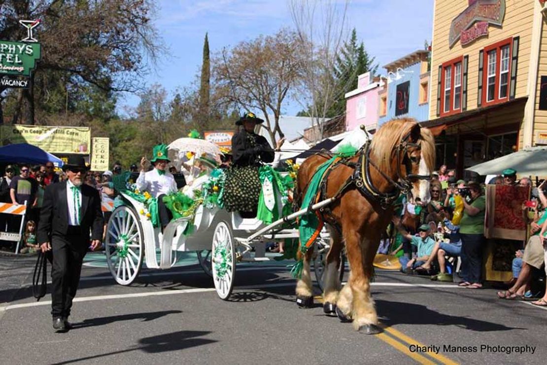 Murphys Irish Day Murphys California's celebration of its Irish heritage