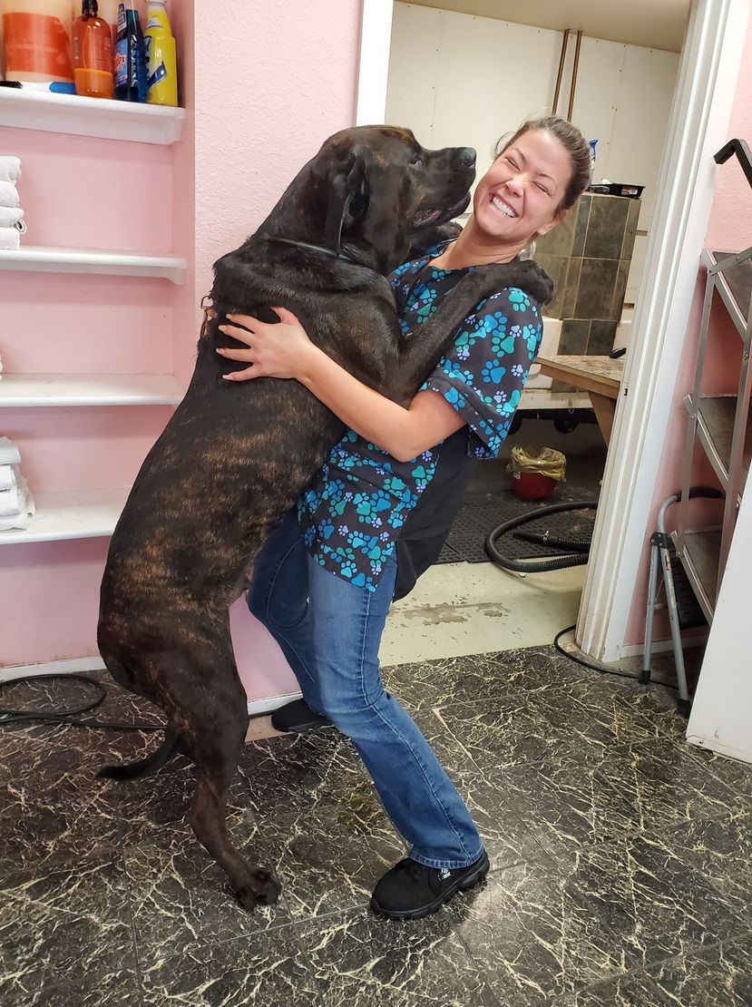 Bubbles & Bows Dog Grooming