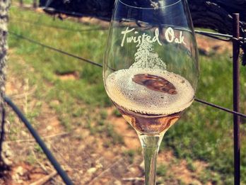 Calaveras Wine Experiences – Part 1 of 3