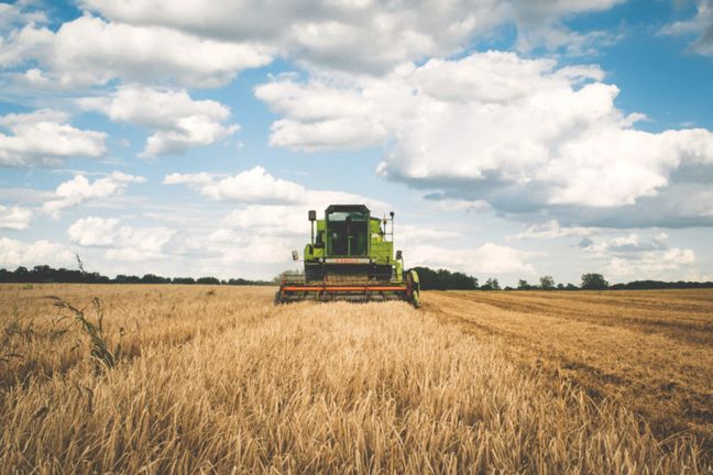 Jury Finds Cos. Don&#8217;t Owe Boy In $23M Farm Pesticide Suit